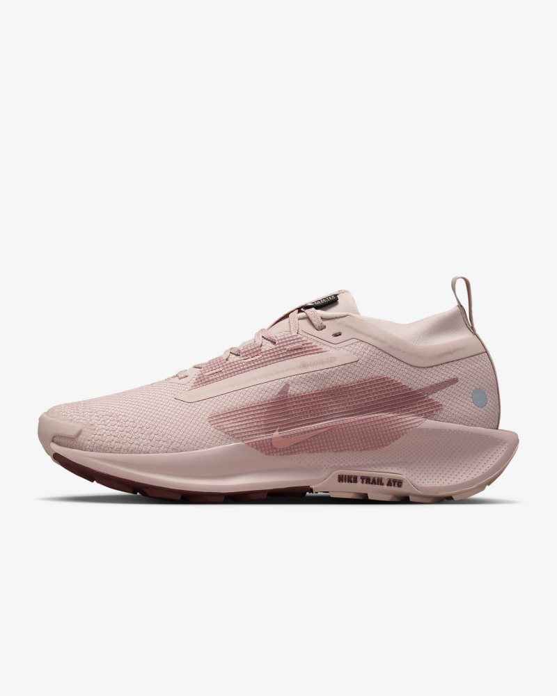 Nike Pegasus Trail 5 GORE-TEX Pink Oxford/Red Sepia/Red Stardust