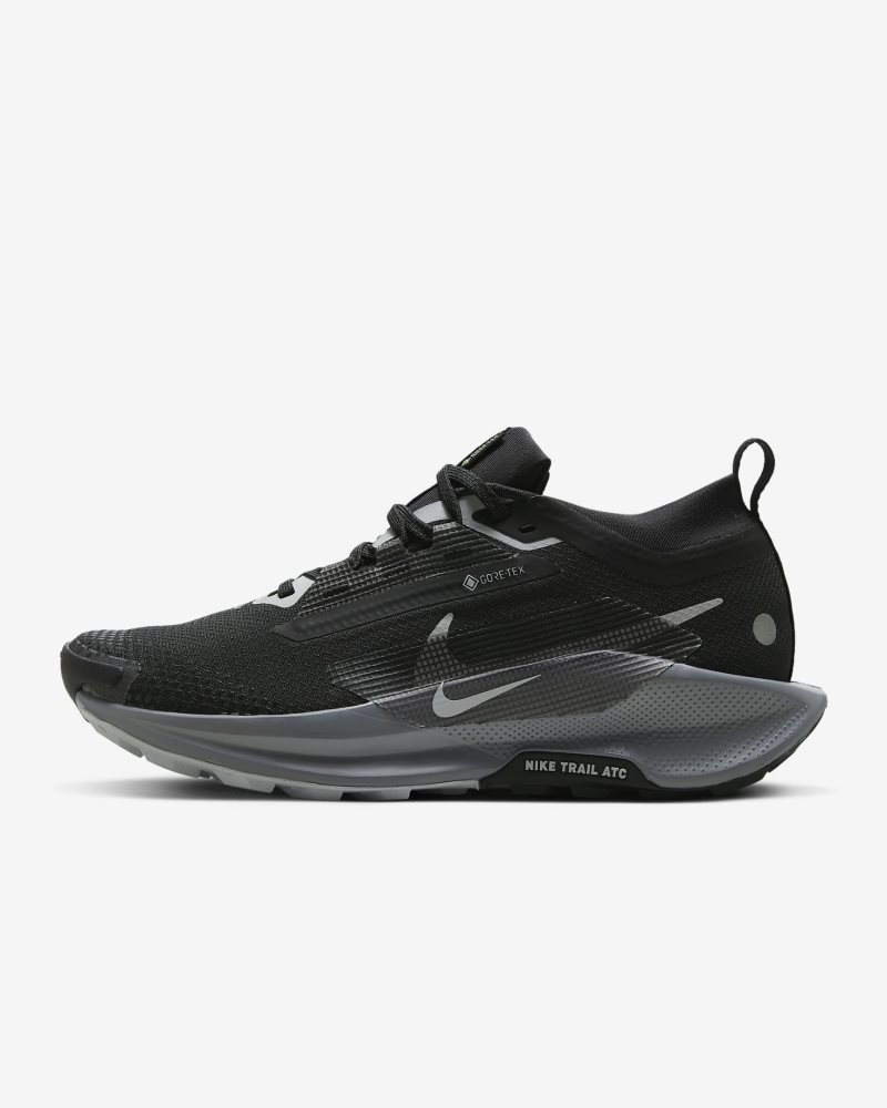 Nike Pegasus Trail 5 GORE-TEX Schwarz/Cool Grey/Anthrazit/Wolf Grey